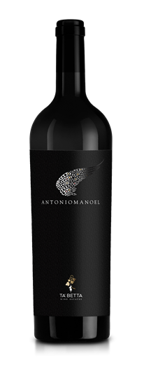 Picture of 2017 Antonio Manoel - 3L